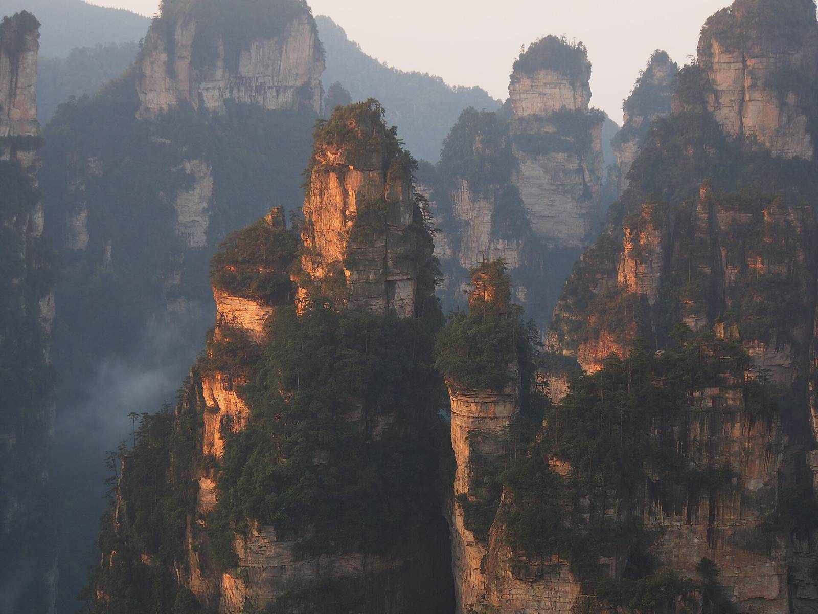 Sandstone pillars of Zhangjiajie at sunrise